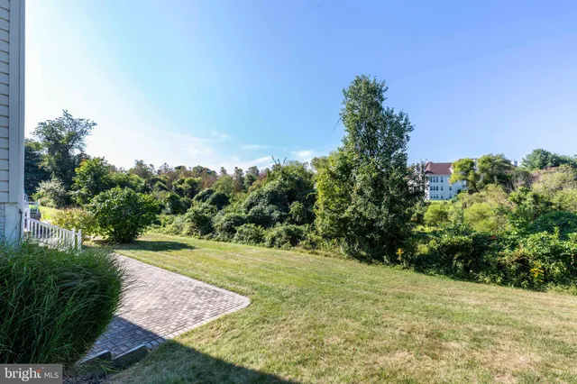 a view of a yard with plants and a trees