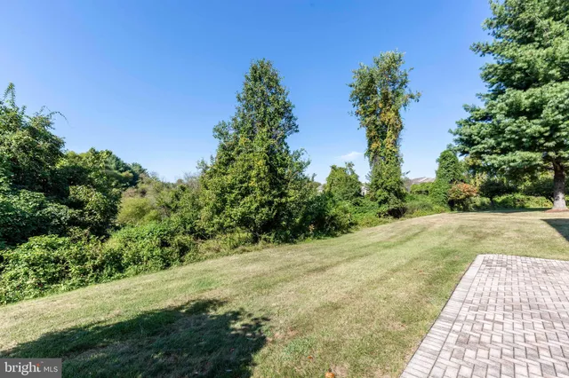 a view of a yard with plants