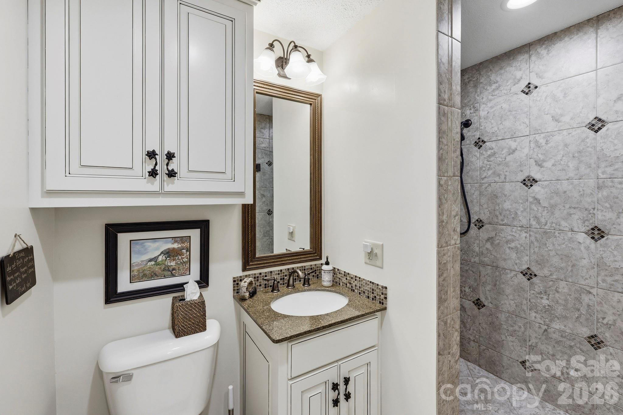 130 Edwards Point Lake Lure, NC 28746 - Photo 25 of 35 a bathroom with a sink a toilet and shower