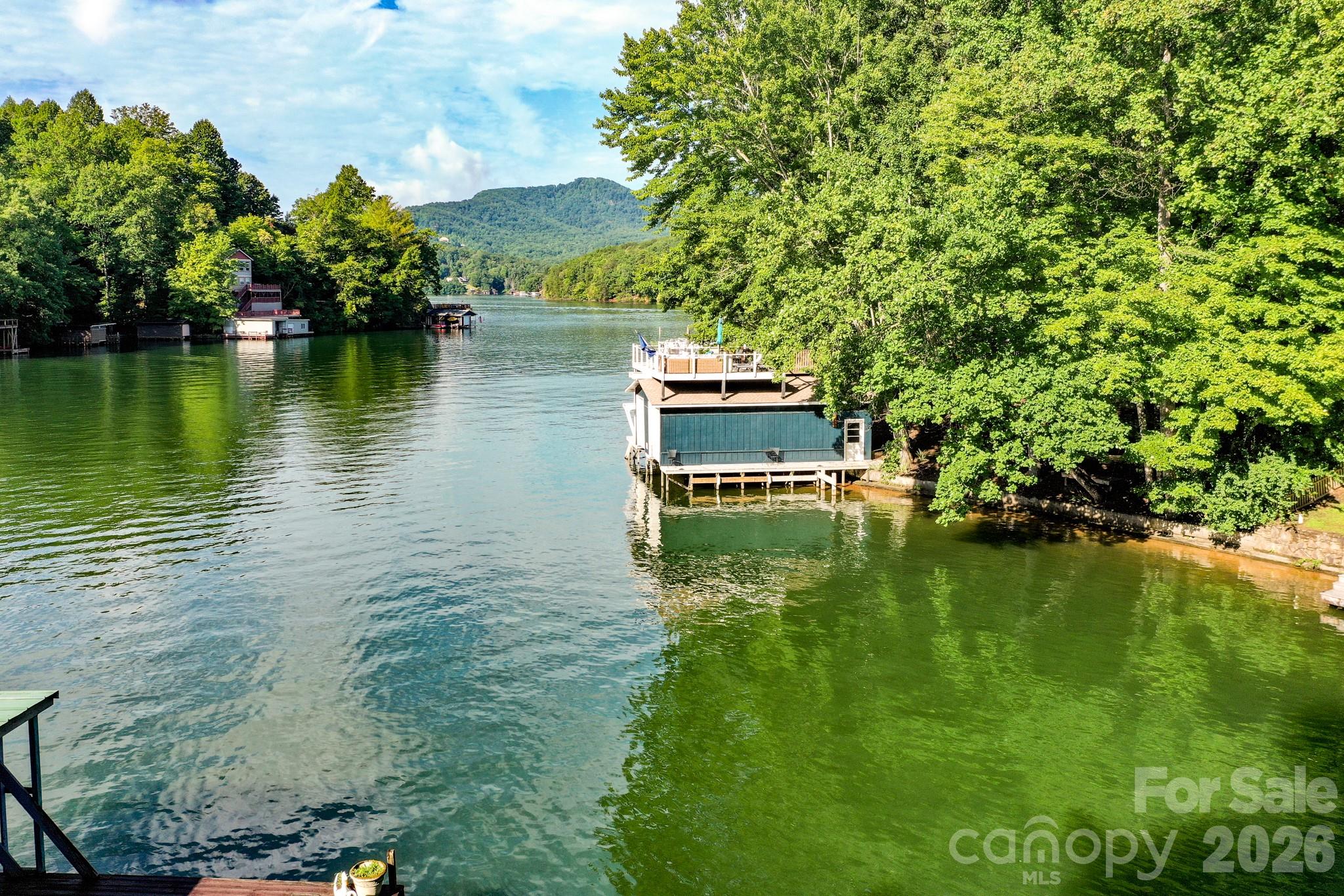 130 Edwards Point Lake Lure, NC 28746 - Photo 33 of 35 a view of a lake with lawn chairs and a large tree
