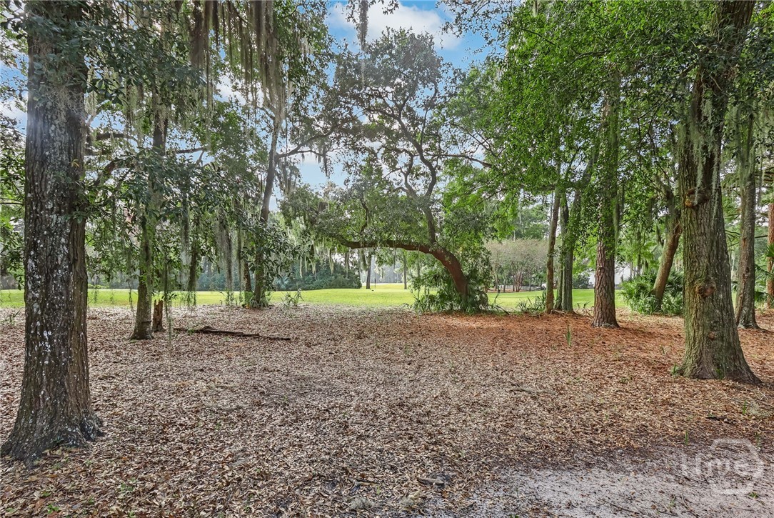 3 Upland Lane Savannah, GA 31411 - Photo 58 of 58