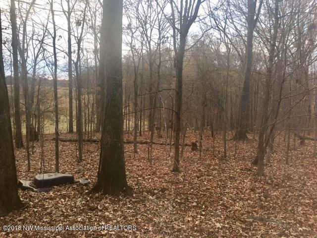 3573 Bend Road Coldwater, MS 38618 - Photo 11 of 23 FullSizeRender_2 (3)