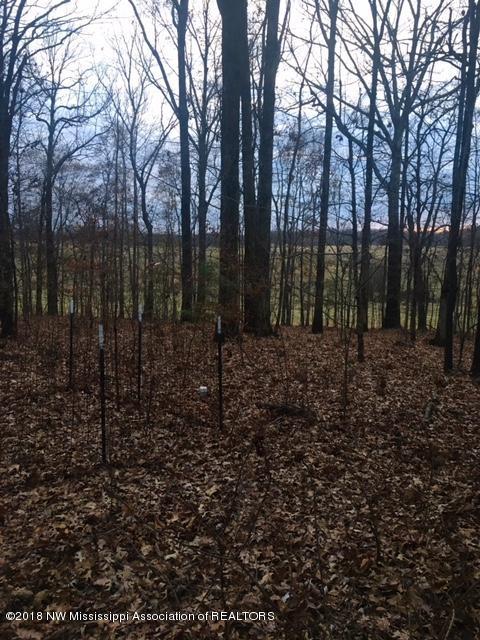 3573 Bend Road Coldwater, MS 38618 - Photo 13 of 23 FullSizeRender_3 (2)