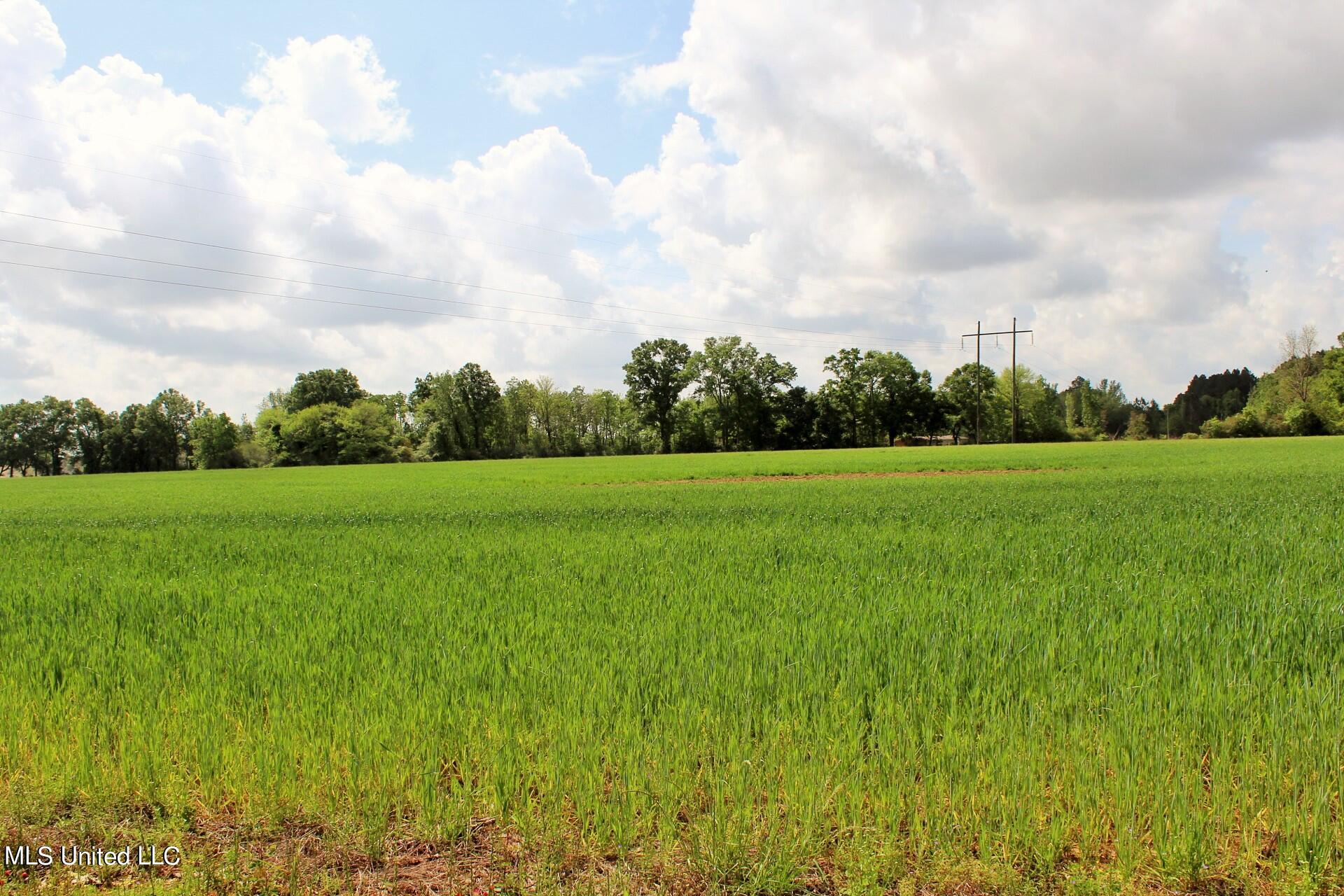 13.5-ac Ellis Hodge Road Lucedale, MS 39452 - Photo 3 of 8 IMG_4830