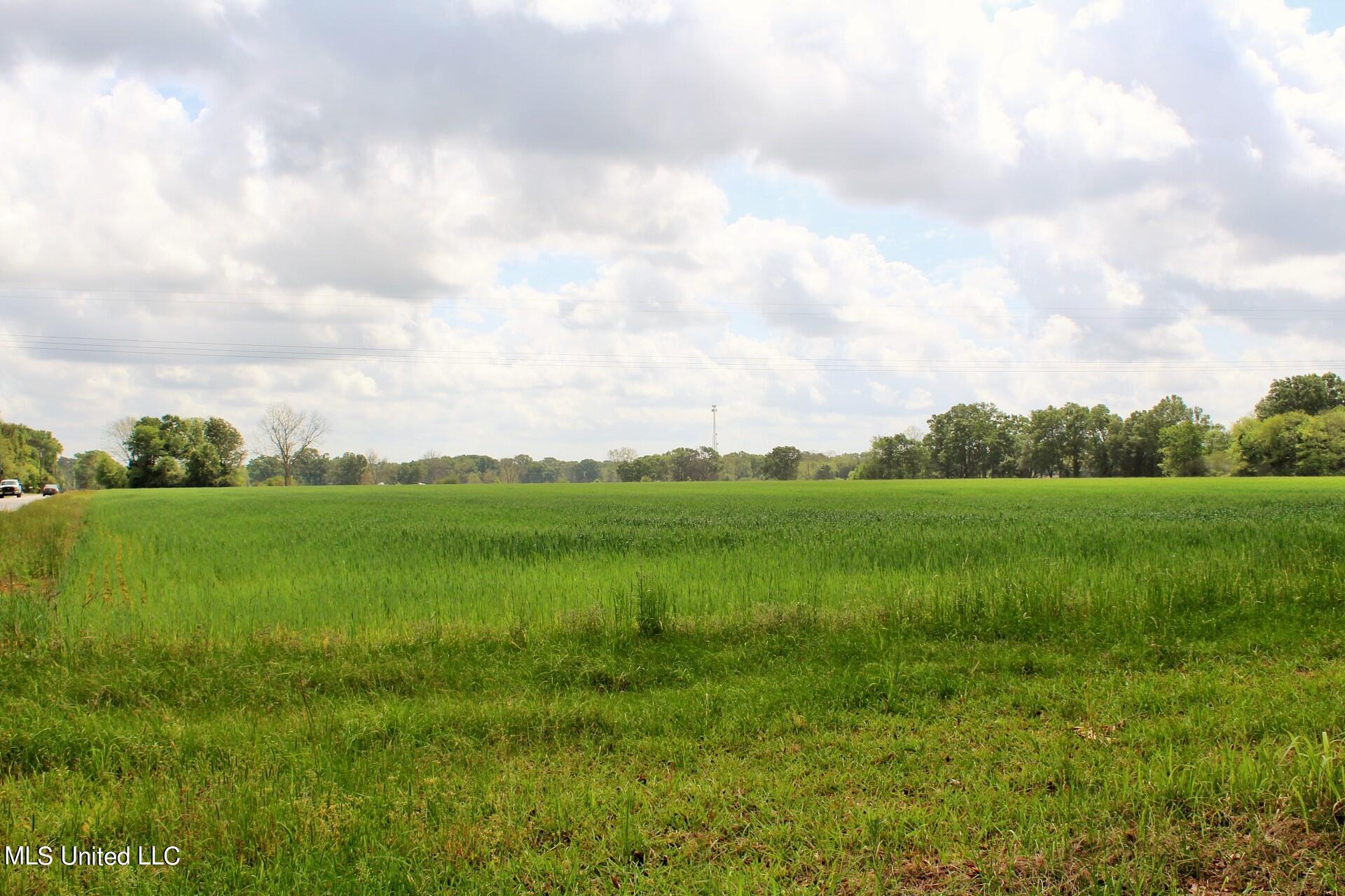 13.5-ac Ellis Hodge Road Lucedale, MS 39452 - Photo 8 of 8 IMG_4839