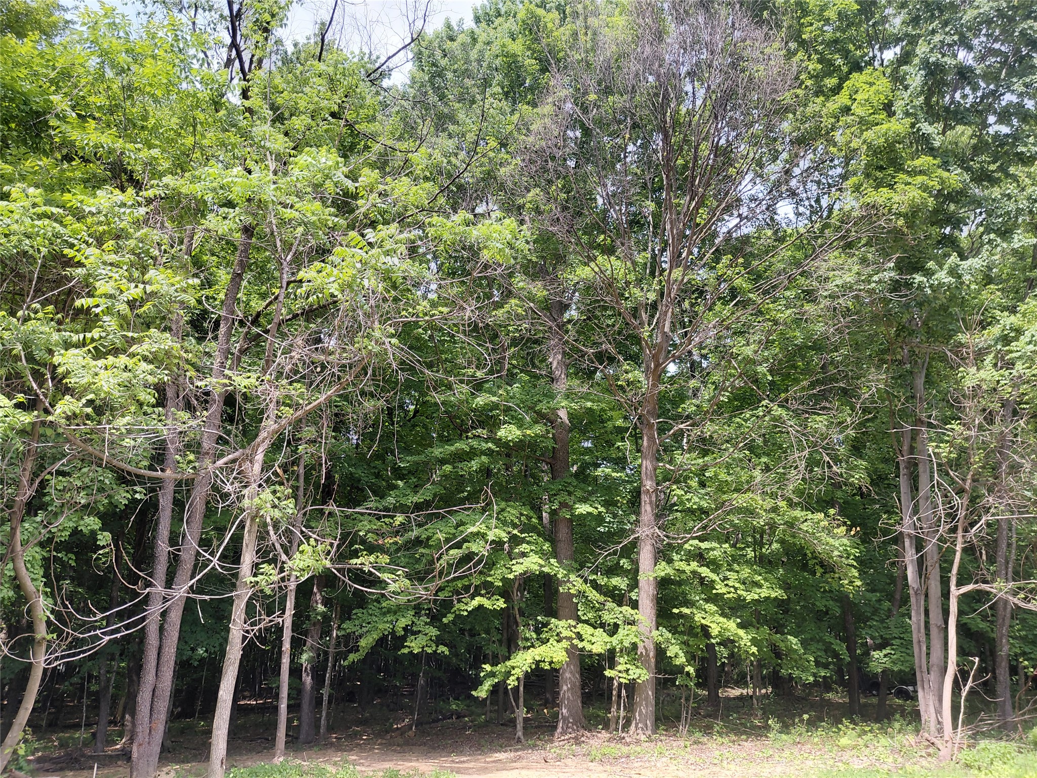 E5329 1370th Avenue Ridgeland, WI 54763 - Photo 12 of 14