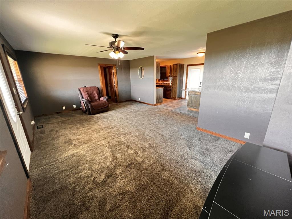 107 South Washington Street Patoka, IL 62875 - Photo 8 of 19