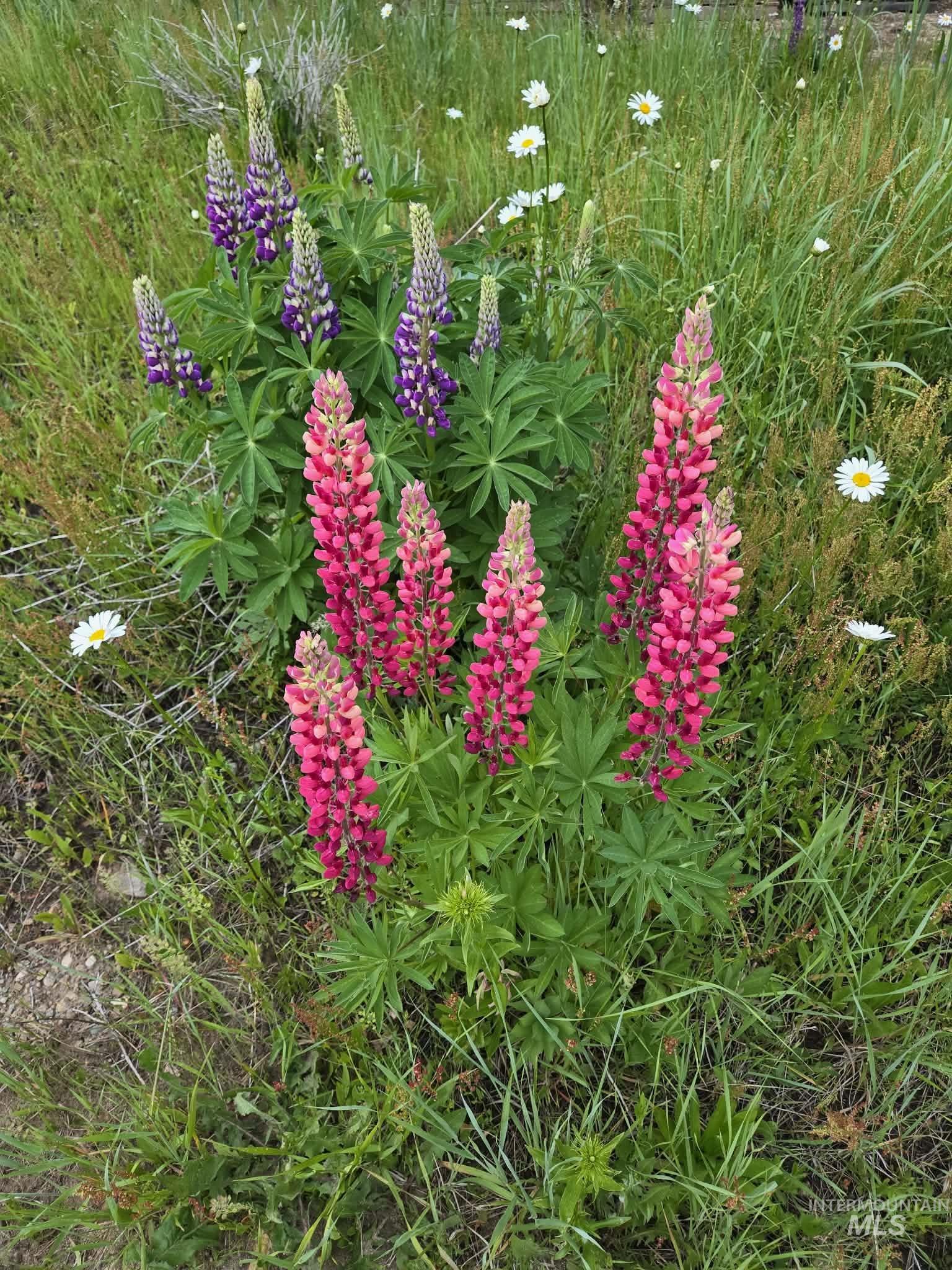 36 Kevins Way Garden Valley, ID 83622 - Photo 44 of 50 Exterior view