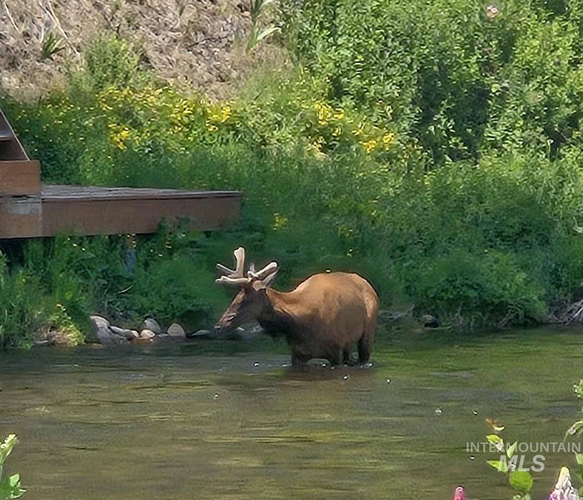 36 Kevins Way Garden Valley, ID 83622 - Photo 45 of 50 Exterior view