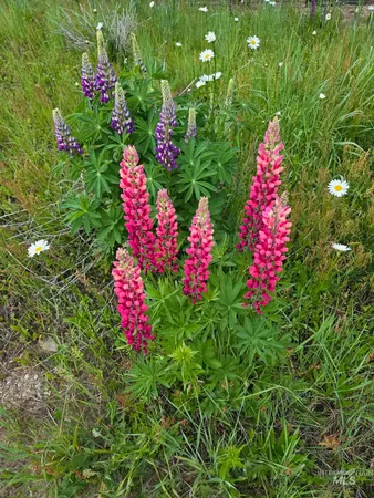 $2,499,000 | 36 Kevins Way, Garden Valley, ID 83622