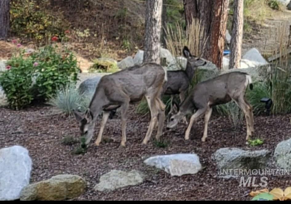 36 Kevins Way Garden Valley, ID 83622 - Photo 47 of 50 Exterior view