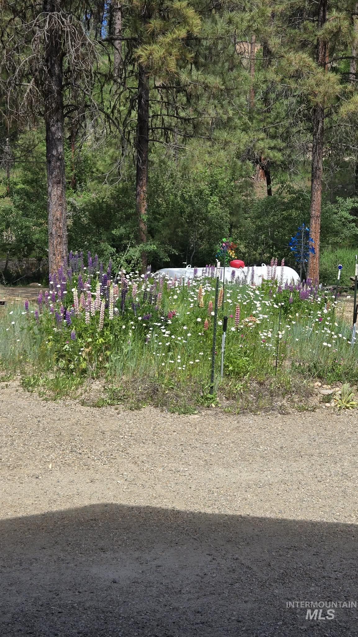 36 Kevins Way Garden Valley, ID 83622 - Photo 48 of 50 View of yard