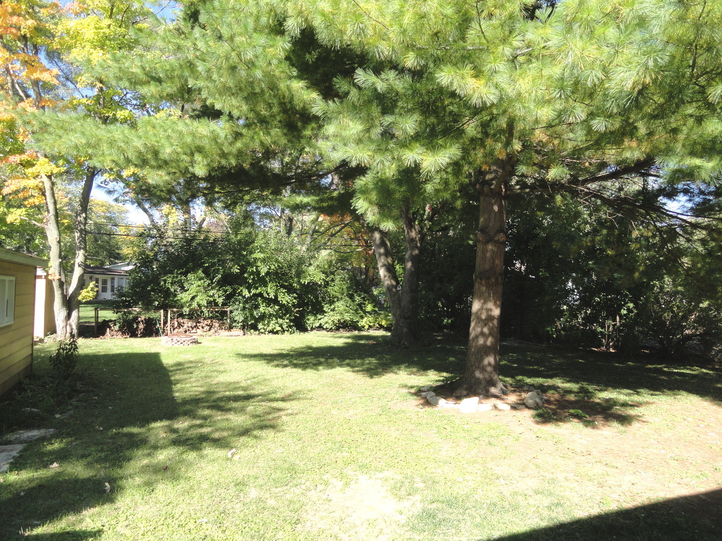 596 Maple Avenue Lisle, IL 60532 - Photo 19 of 21 a view of a yard with trees