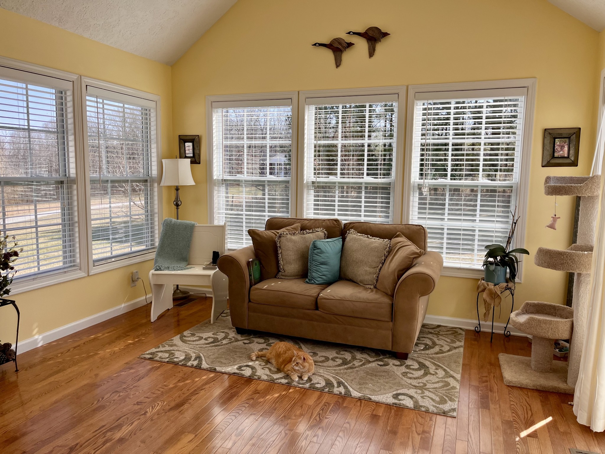 4869 Starks Road Cross Plains, TN 37049 - Photo 17 of 46 a living room with furniture and a large window