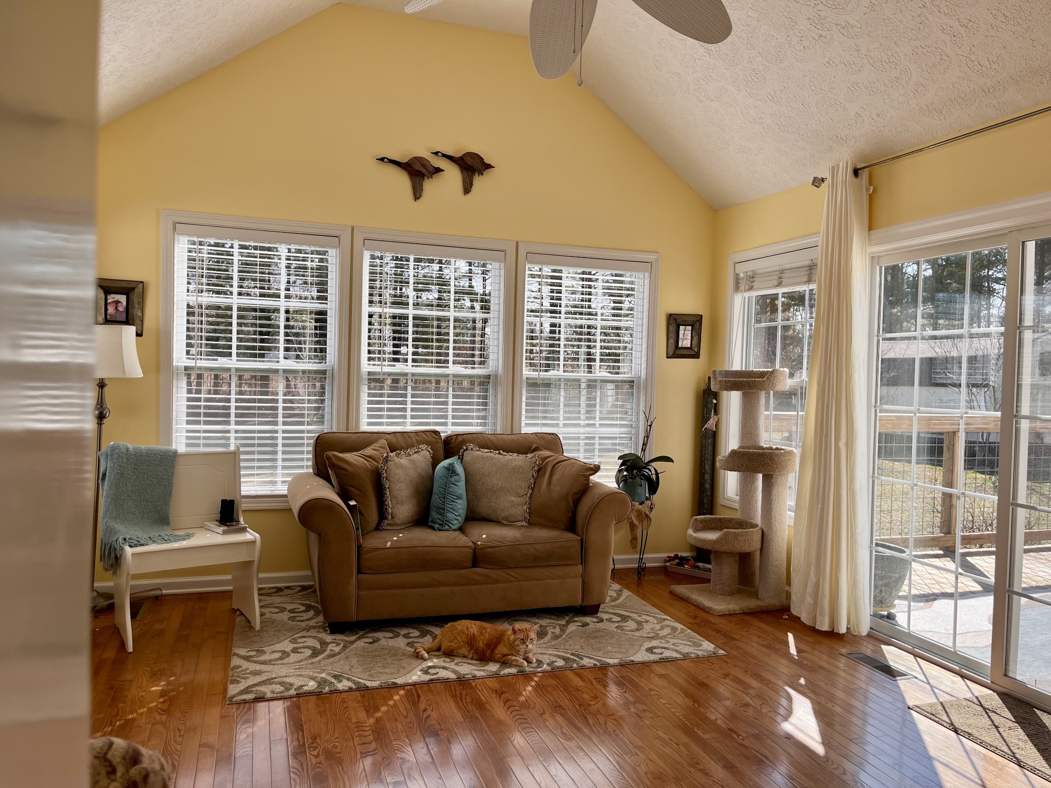 4869 Starks Road Cross Plains, TN 37049 - Photo 18 of 46 a living room with furniture and a floor to ceiling window