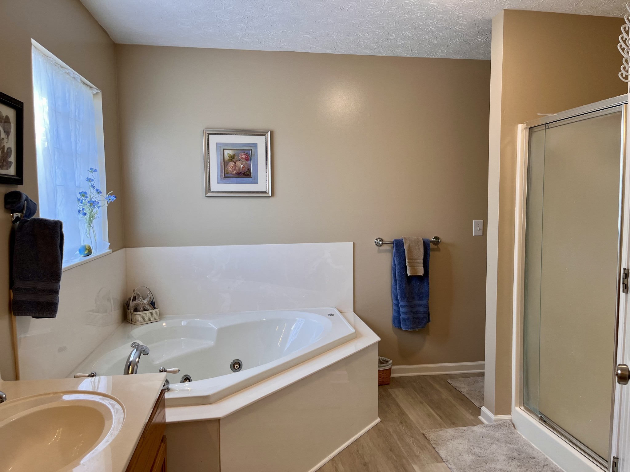 4869 Starks Road Cross Plains, TN 37049 - Photo 34 of 46 a bathroom with a tub and a sink