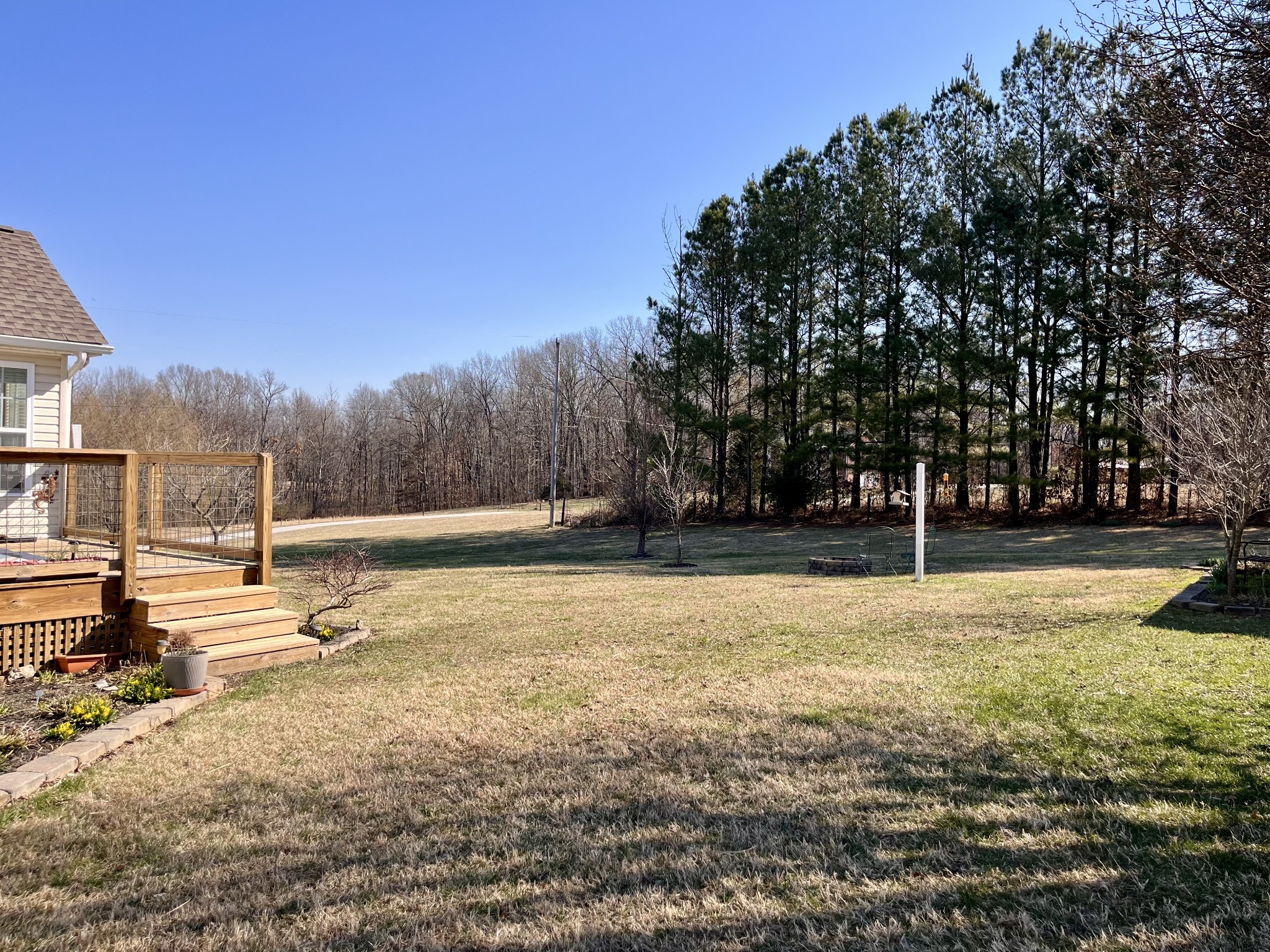4869 Starks Road Cross Plains, TN 37049 - Photo 40 of 46 a view of backyard with large trees