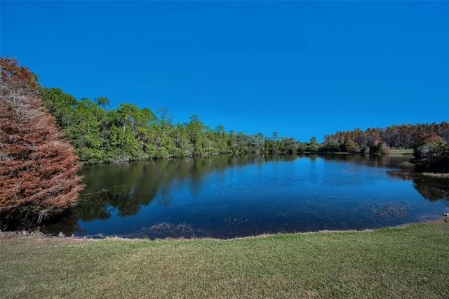 $625,000 | 10101 Mizner Street, New Port Richey, FL 34655