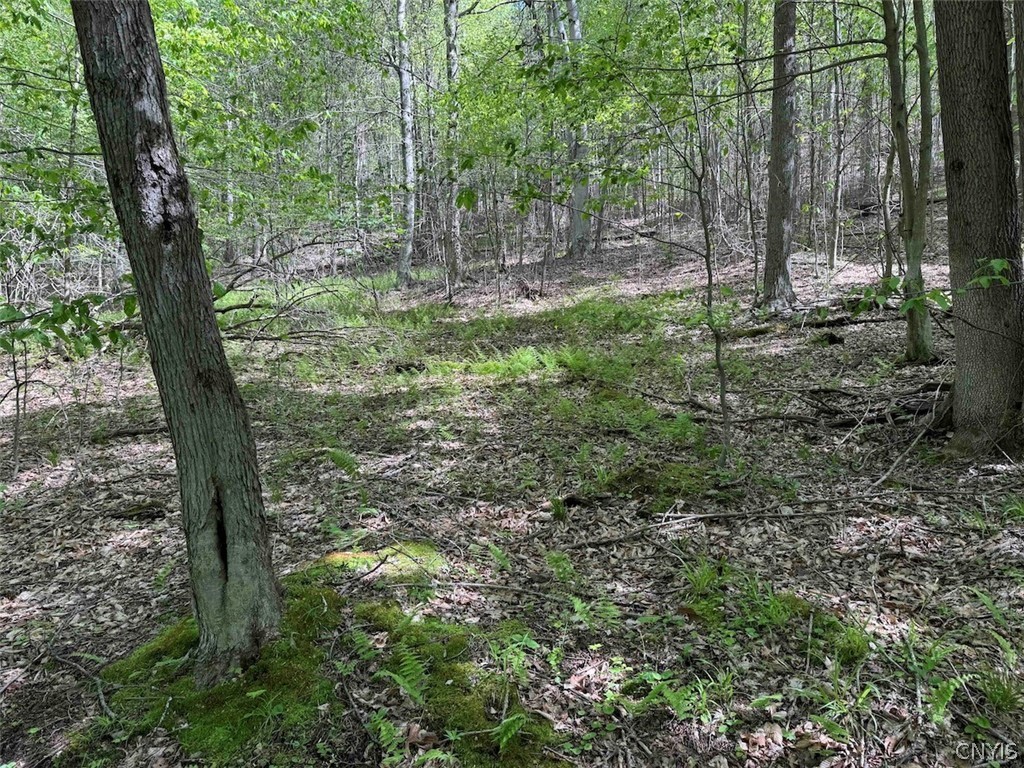 774 Bent Dipper Road Genesee, NY 14721 - Photo 38 of 46