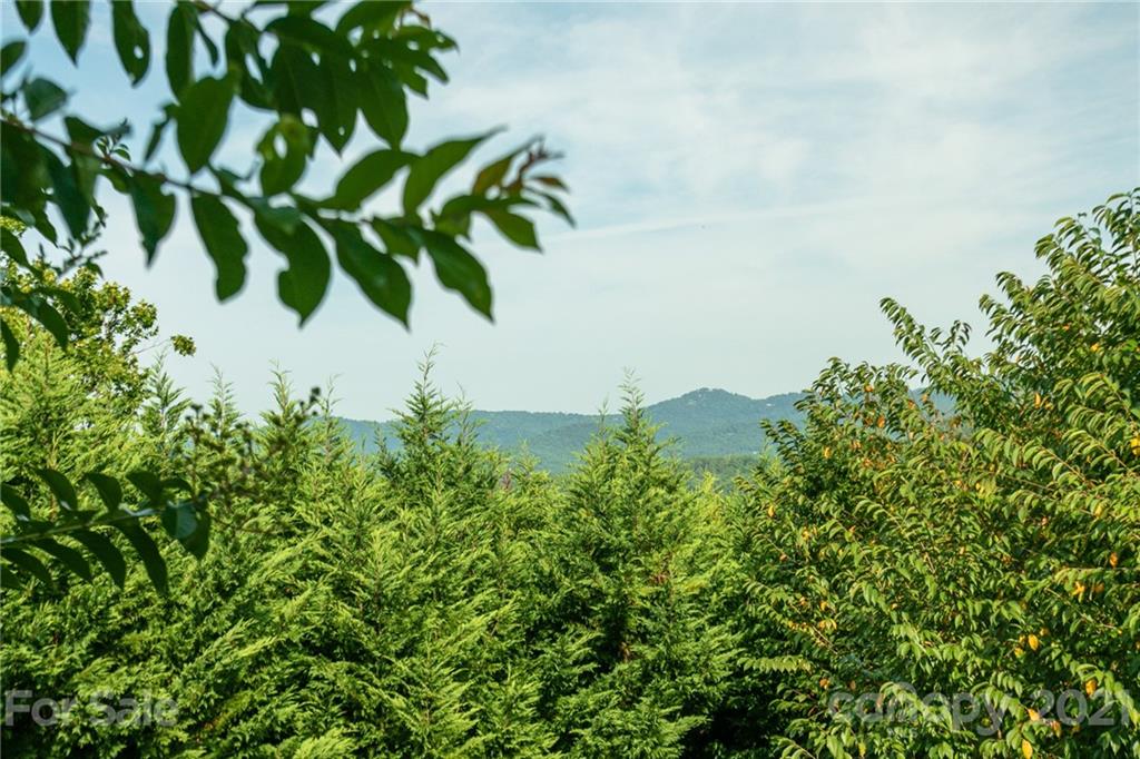 56 Dalya Road Swannanoa, NC 28778 - Photo 40 of 48 Gallery Image 40