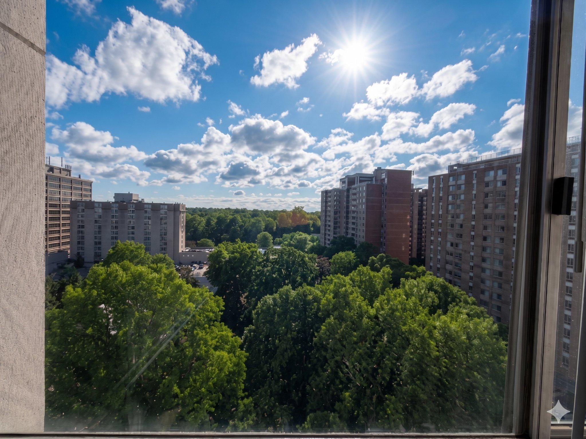 5500 Friendship Boulevard, Unit 2005N Chevy Chase, MD 20815 - Photo 6 of 28 Sunny skyline with lush greenery.