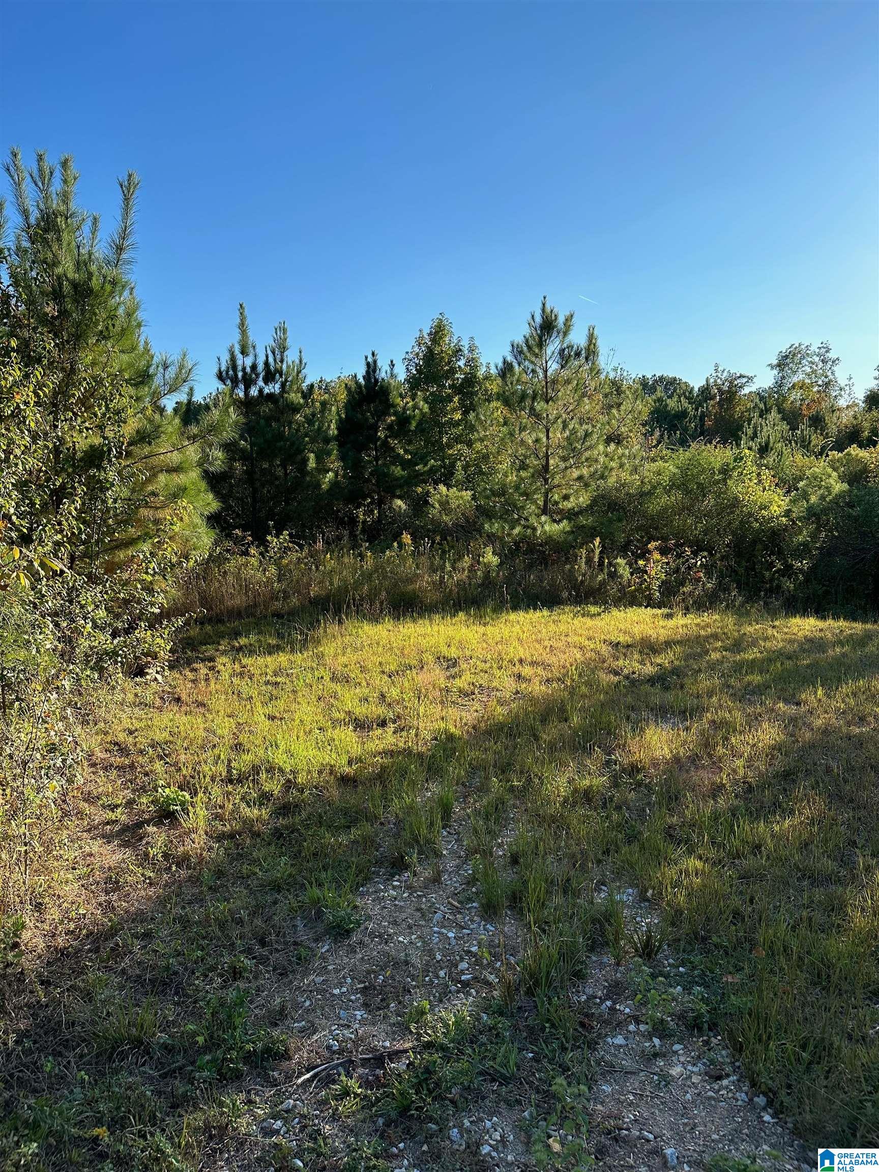 0 Reed Creek Drive Shelby, AL 35143 - Photo 11 of 15
