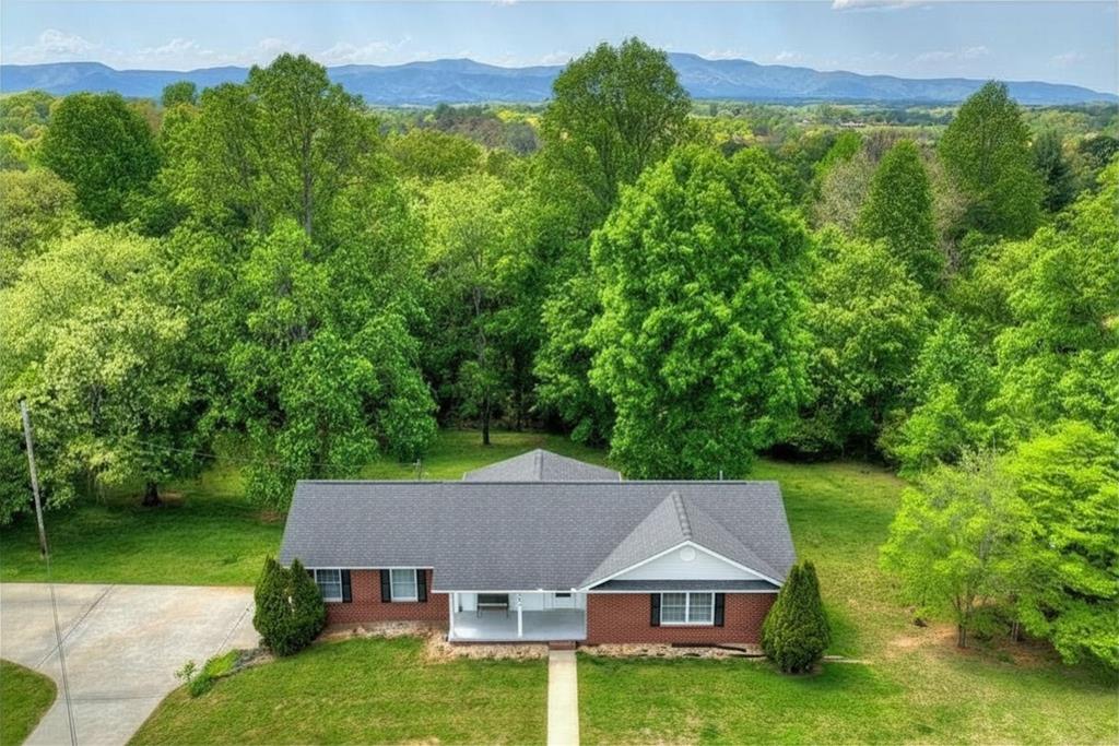 380 La Vista Drive Blue Ridge, GA 30513 - Photo 3 of 48