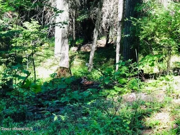 $195,000 | Undisclosed Address, St. Maries, ID 83861