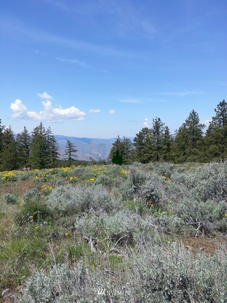 424 Hummingbird Road East Wenatchee, WA 98802 - Photo 1 of 1 Gallery Image 1