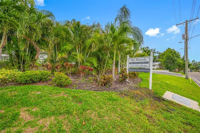 a view of a park with a tree
