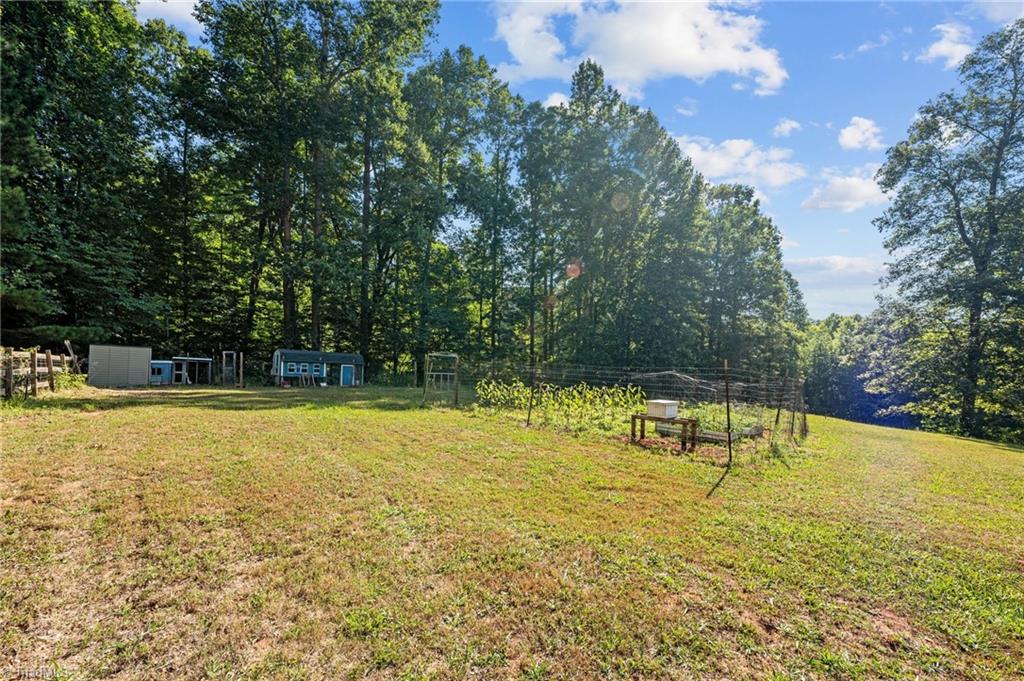 2203 Bane Road Efland, NC 27243 - Photo 30 of 43 Gallery Image 30
