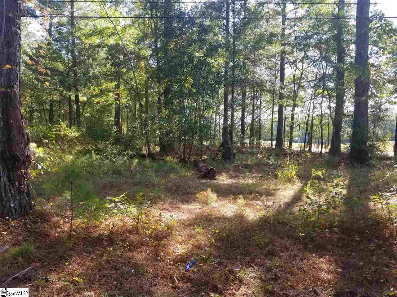 Midway Road Williamston, SC 29697 - Photo 6 of 10