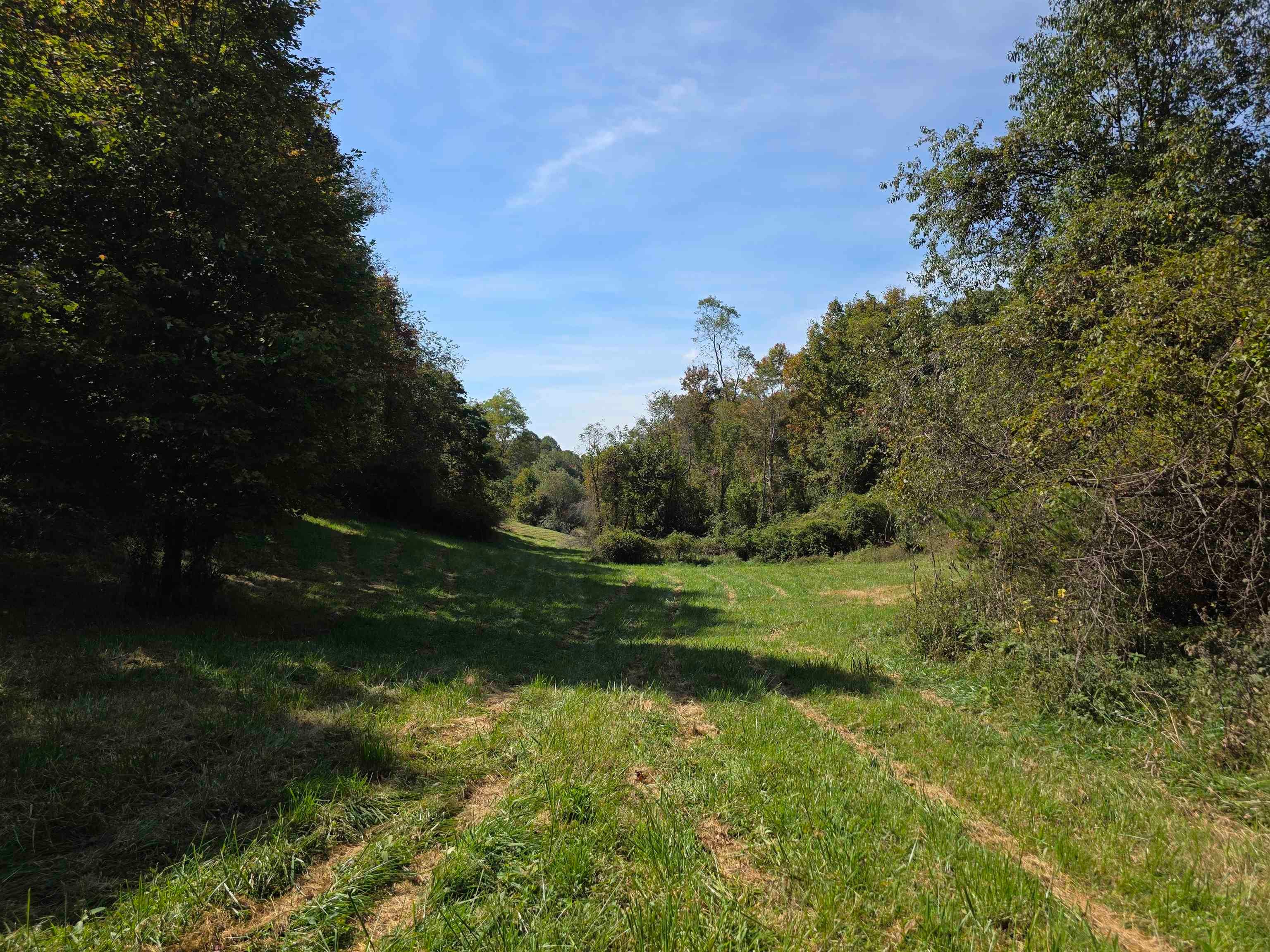 Tbd Ridge Road Northeast Pilot, VA 24138 - Photo 24 of 26 Gallery Image 24