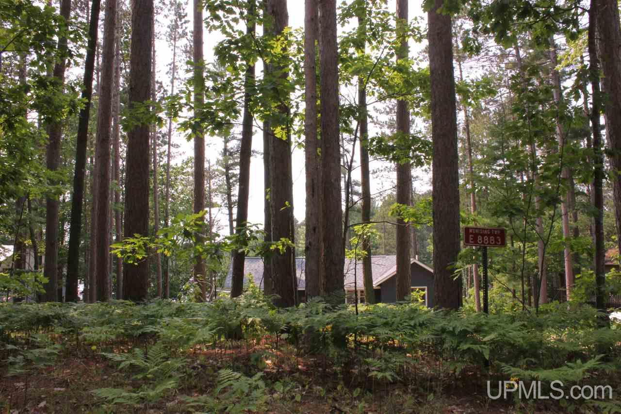 E8883 Lost Lake Road Wetmore, MI 49895 - Photo 21 of 22 Gallery Image 21
