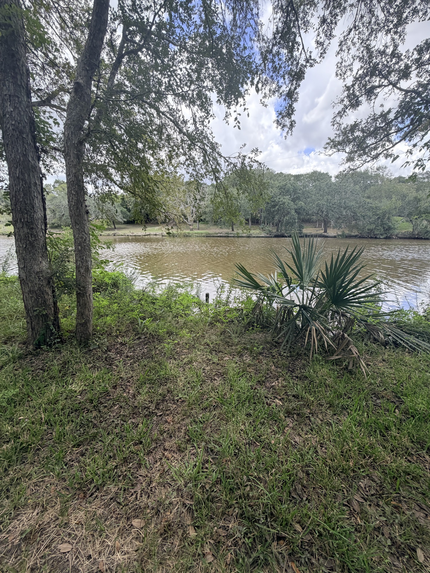 468 Riverside Drive Palacios, TX 77465 - Photo 5 of 12 Gallery Image 5