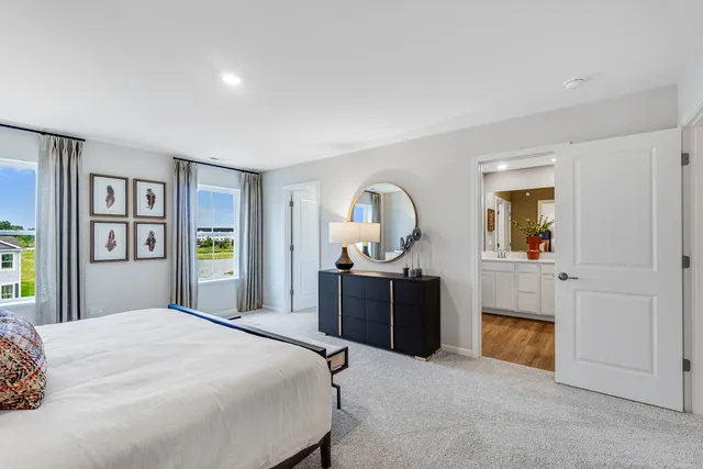 a bedroom with a bed and dresser