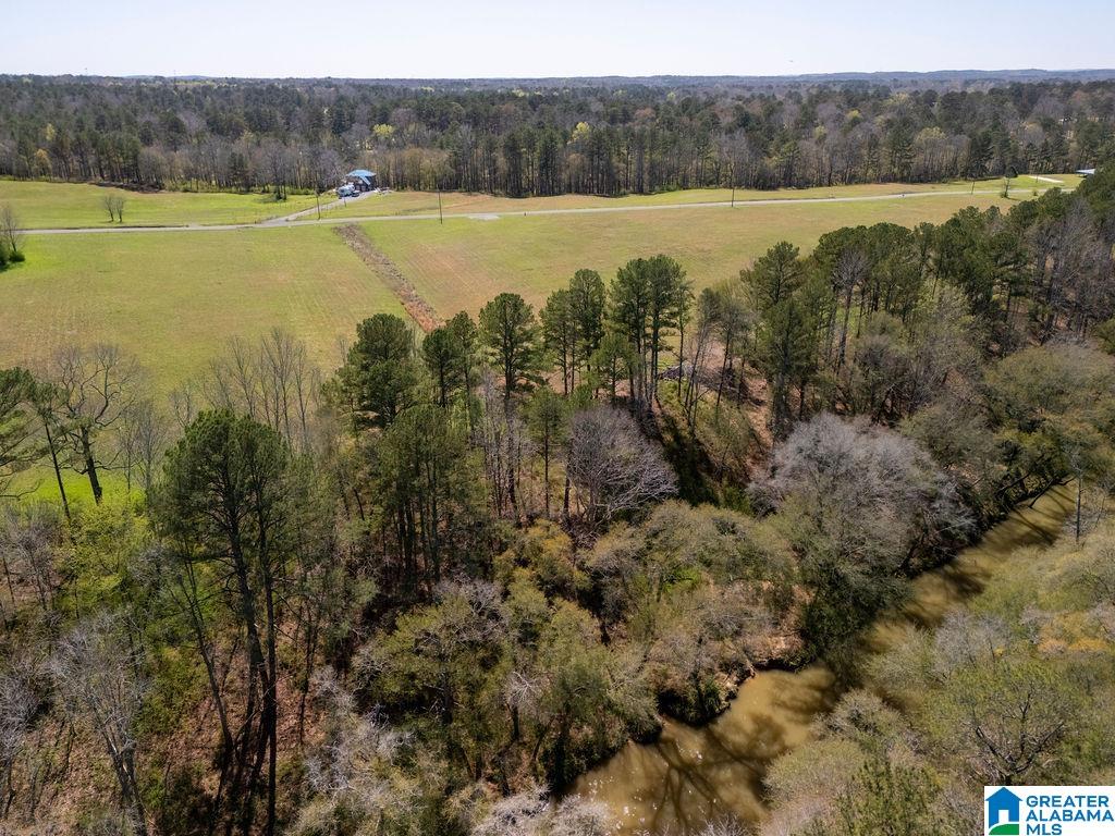 Bluegrass Lane, Unit 11 Jasper, AL 35503 - Photo 28 of 38