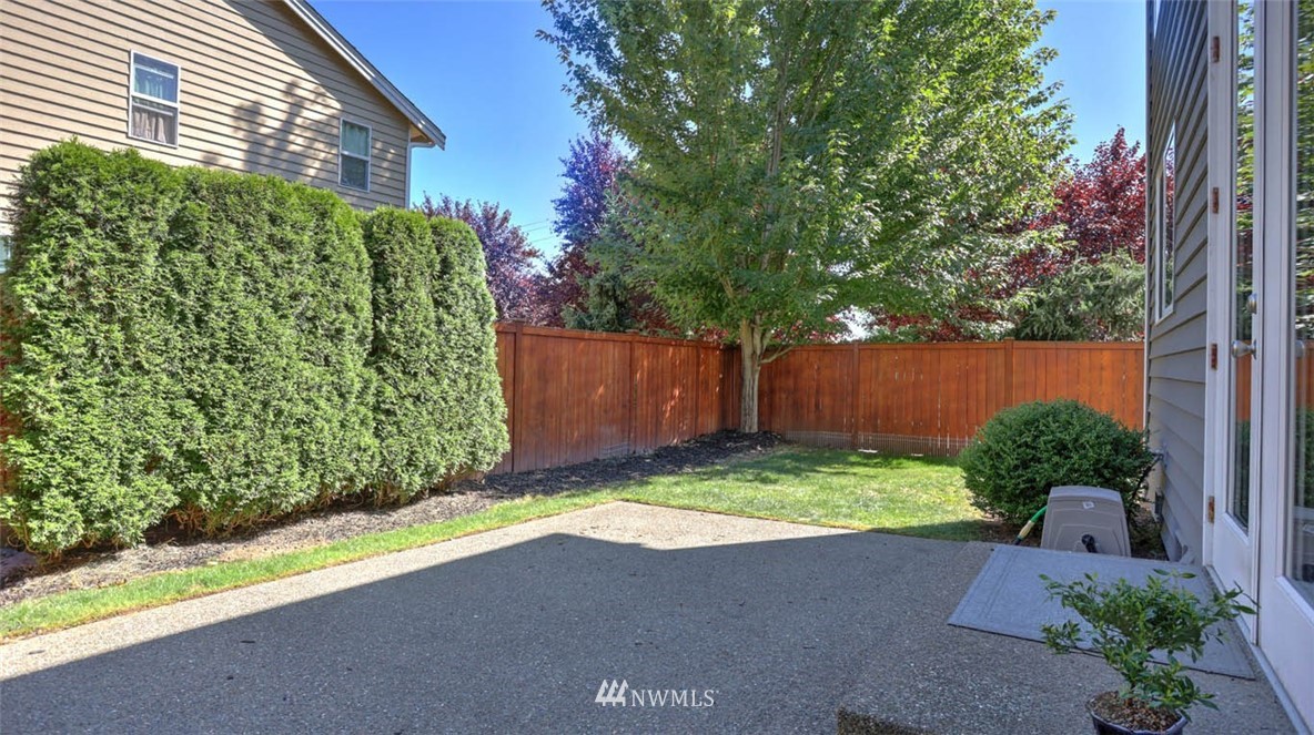 21131 37th Avenue Southeast Bothell, WA 98021 - Photo 39 of 40 a view of backyard with potted plants and a large tree