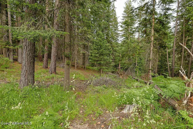 $300,000 | 164 West Fork Pine Creek Road, Pinehurst, ID 83850