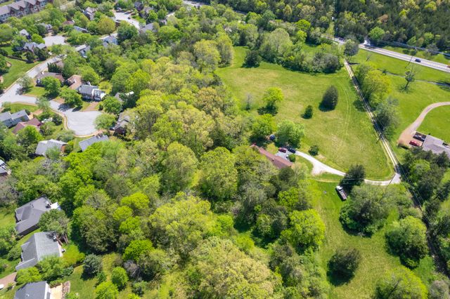 a view of a garden with plants