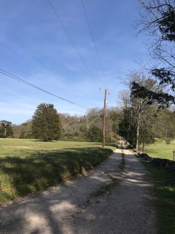 a view of a yard with an outdoor space