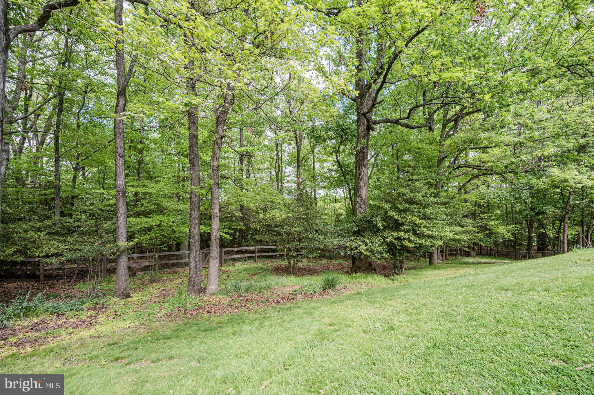 12607 Ivystone Lane Laurel, MD 20708 - Photo 38 of 41