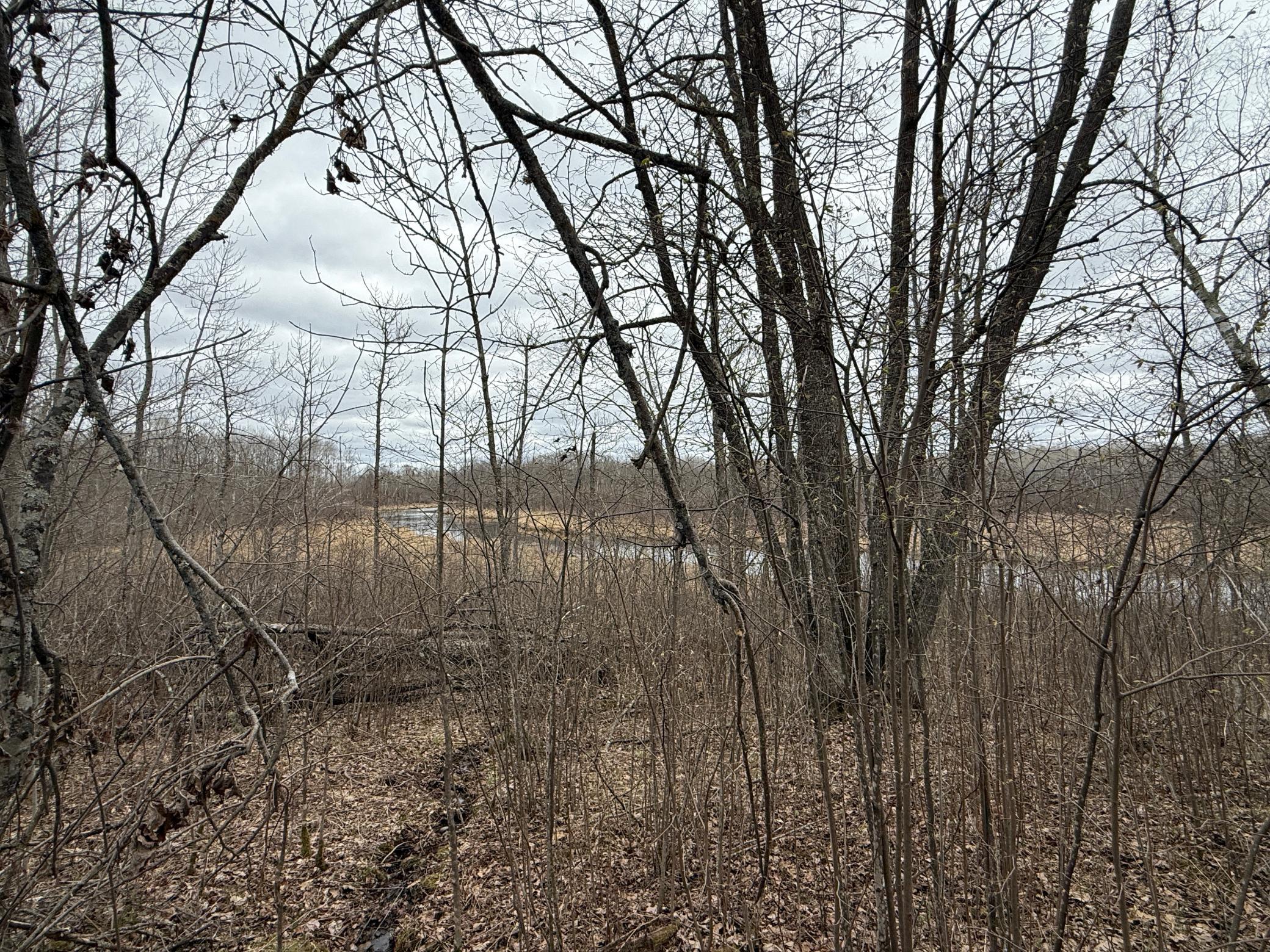3854 Rasmussen Road Wright, MN 55798 - Photo 64 of 98