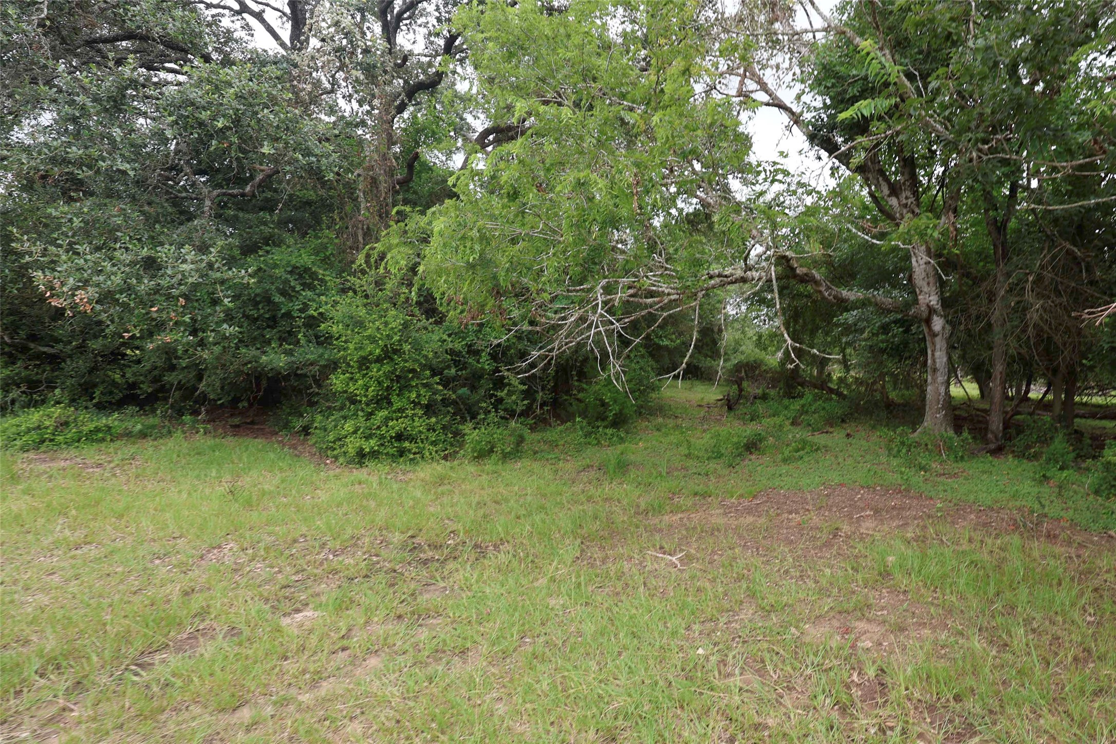 1340 Cr 253 Road Weimar, TX 78962 - Photo 5 of 18
