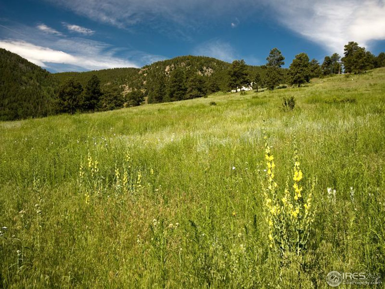 7654 Spirit Ranch Road Golden, CO 80403 - Photo 22 of 25 a view of lake view and mountain