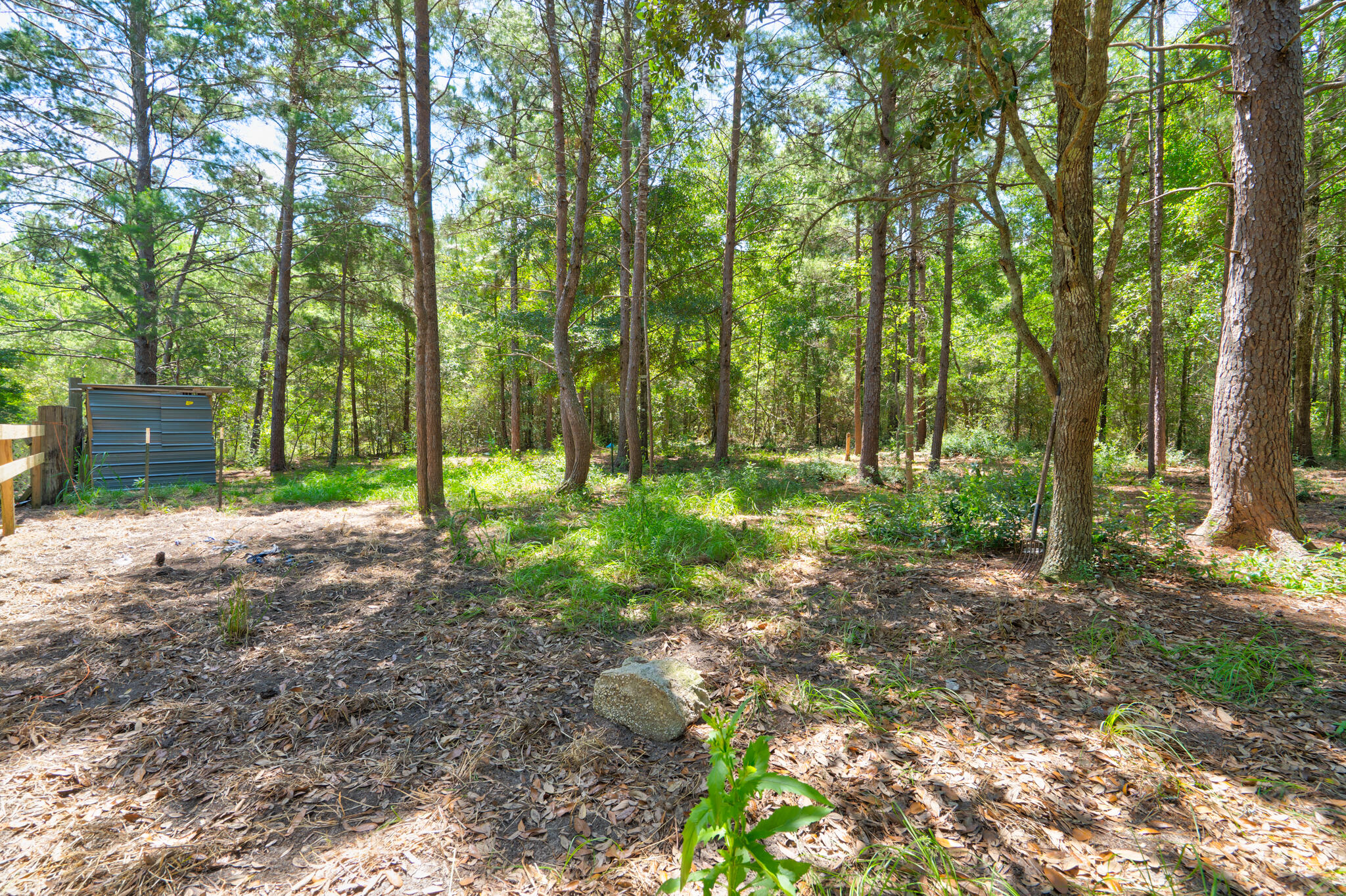 4236 Edge Perry Road Crestview, FL 32539 - Photo 31 of 51 a backyard of a house with lots of green space