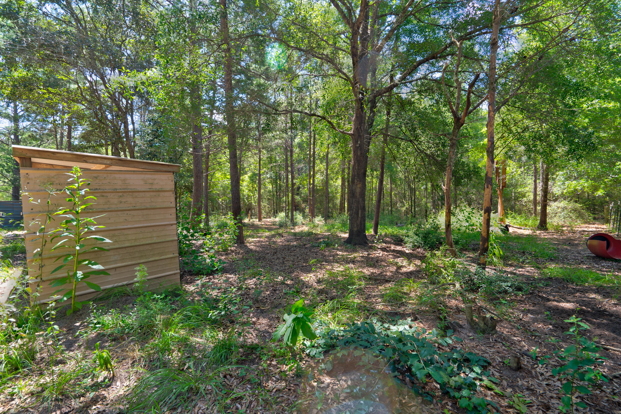 4236 Edge Perry Road Crestview, FL 32539 - Photo 32 of 51 a backyard of a house with lots of green space