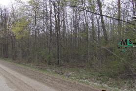 0 Babcock Road Fort Gratiot, MI 48059 - Photo 3 of 4 914499-2.JPG