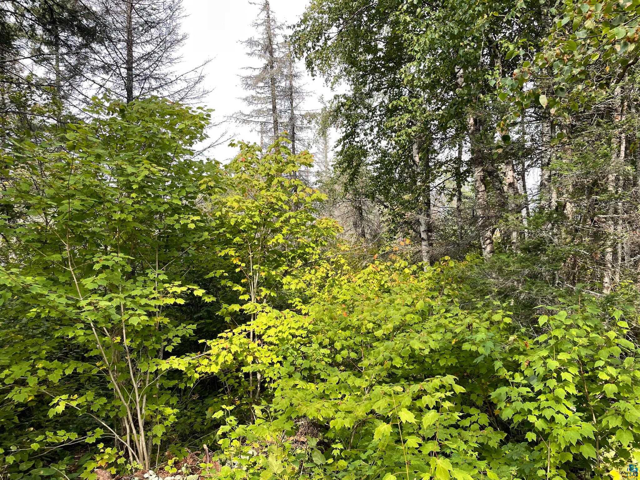 9519 Ccc Trail Isabella, MN 55607 - Photo 24 of 25
