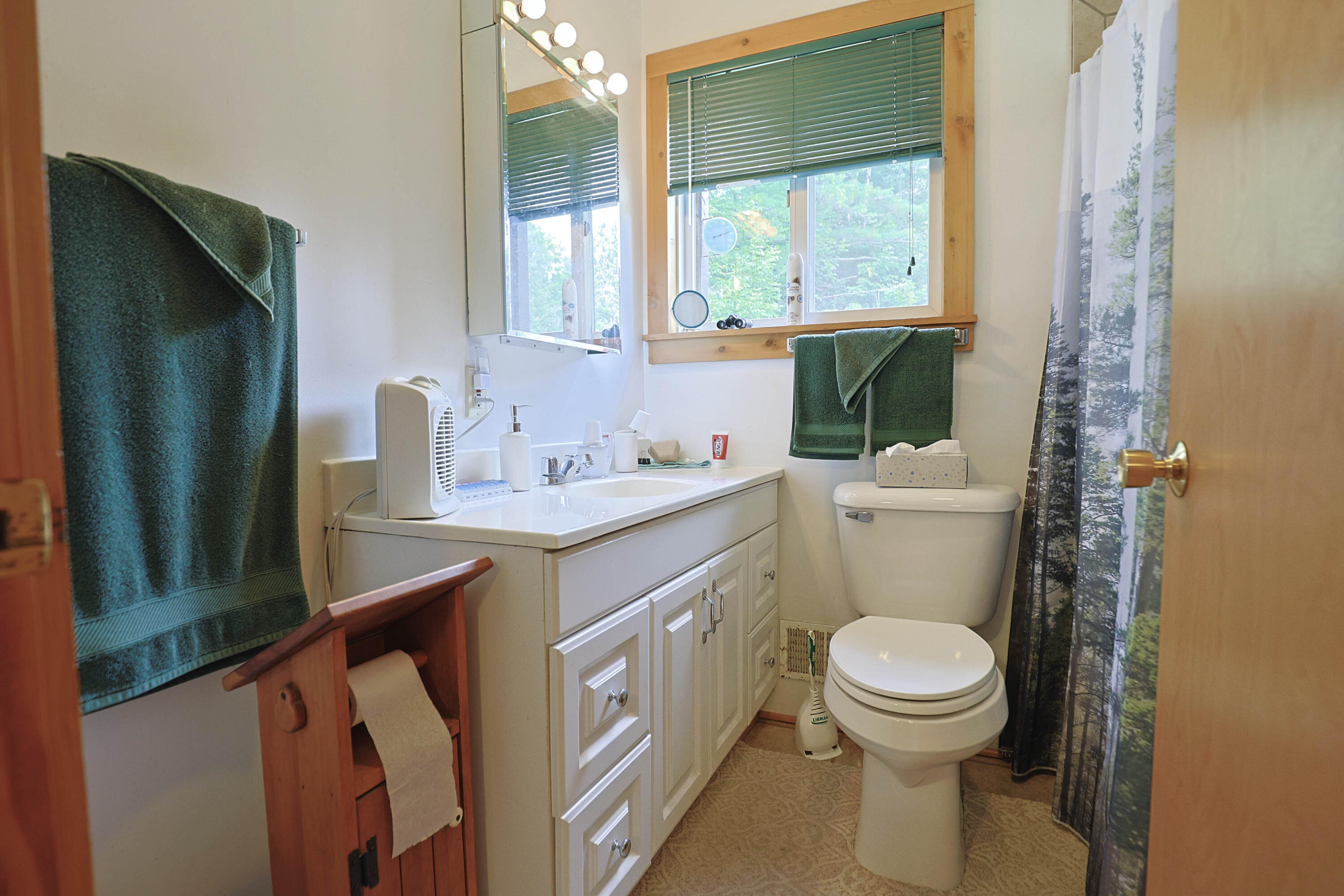 6720 Welch Road Curran, MI 48728 - Photo 90 of 155 011A0166 copy